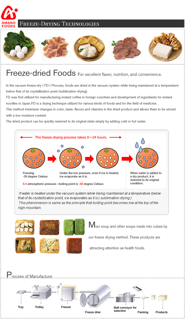 Japanese Freeze Dried Survival Foods Somen Nyumen Noodles YUZU (Citrus